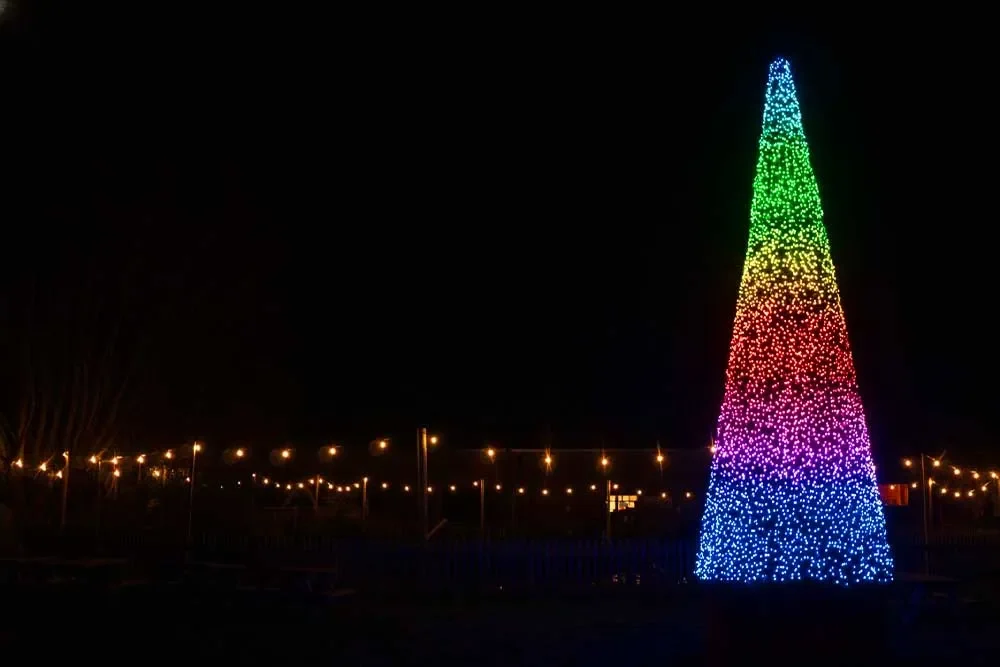6M Twinkly Pro Cone Tree
